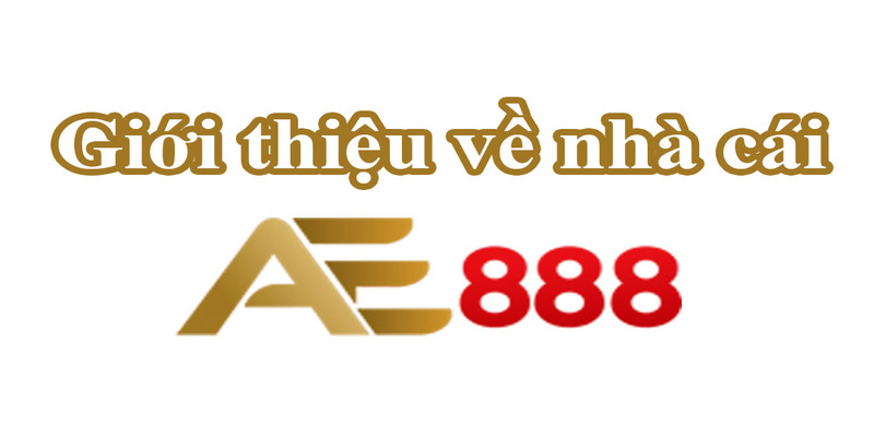 Lý do nên tham gia cá cược tại nhà cái cờ bạc trực tuyến Ae888